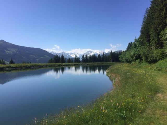 Residenz Am Berg Daire Jochberg Dış mekan fotoğraf